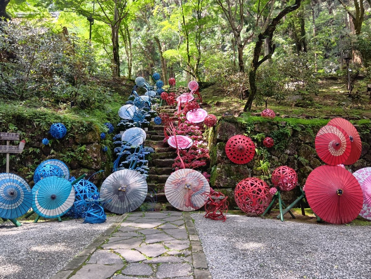 AtsukiRun's tweet photo. 6月の思い出　室生寺
紫陽花　その2

#奈良
#室生寺
#女人高野
#紫陽花 https://t.co/e3gI1mH0c5