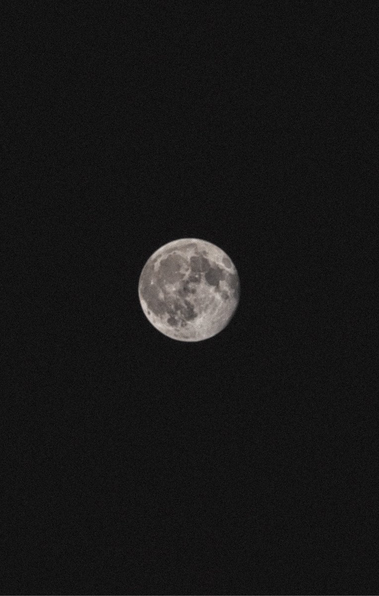 stone_berryy's tweet photo. Howling for love 🤧
(La mejor foto que sacó mi Chaifon)
#BringValkoBack #HowlingForLove #ValkoIsLoved https://t.co/KgEpN4drv7