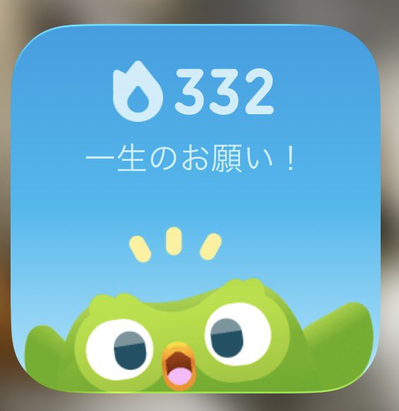 kikunosuke_f's tweet photo. @Duolingo_Japan ふと見たらかわいい顔しててなんだか物足りない https://t.co/LuNTusf8JZ