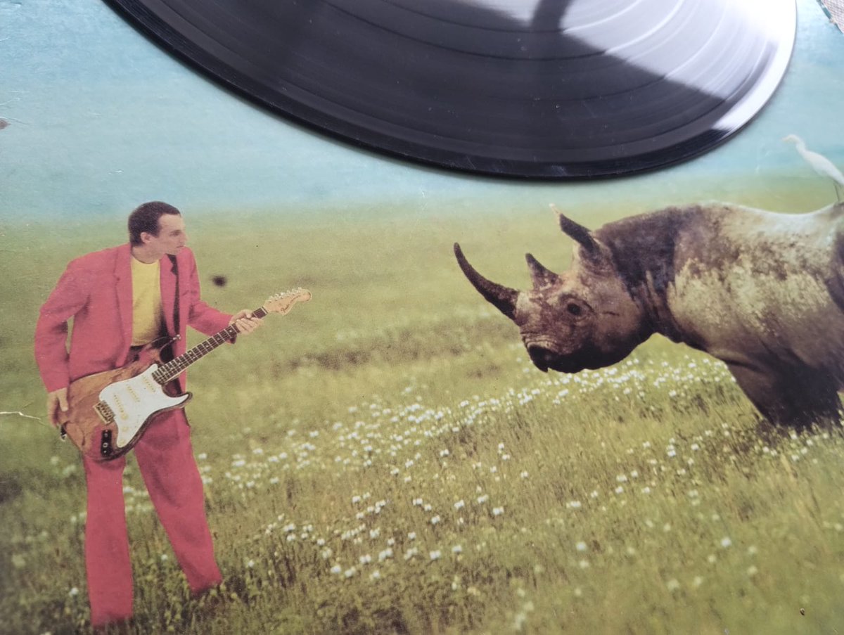 EFabregat's tweet photo. Track 2: “The Lone Rhinoceros”, Adrian Belew. #AltoGuiso #CancionesZoológicas #Radiocaníbal #Banquete272 @somosradioam530 https://t.co/cupQnZtLJ9