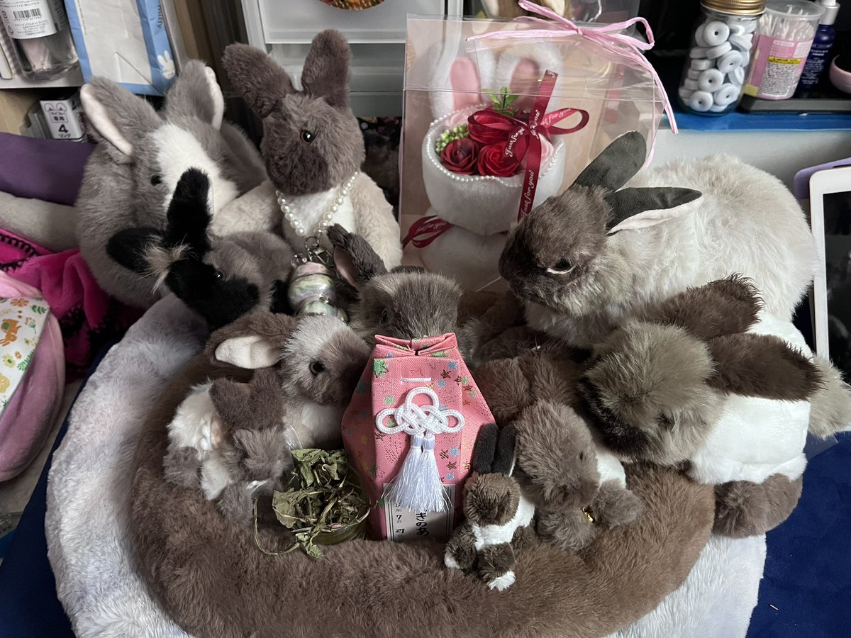 usage_kn's tweet photo. 先生にお礼の品を買いに行ったら、店先にこんな可愛いお花を見つけたので、母ちゃんからきのあにプレゼントしました💐✨ https://t.co/0R6eB7845v