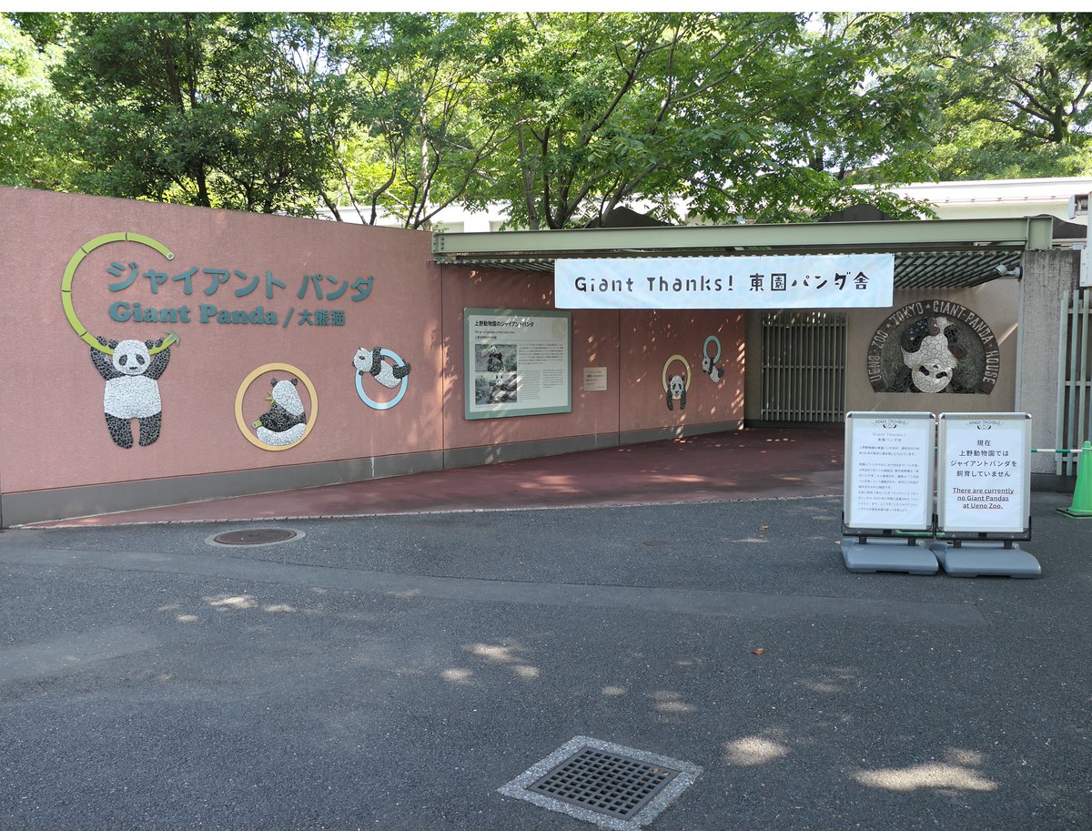 UenoZooGardens's tweet photo. パネル展「Giant Thanks東園パンダ舎」の開催期間を8月16日（日）まで延長します。
詳細はこちら☟
https://t.co/EqBOx1iYkb https://t.co/DngTT2wS9S