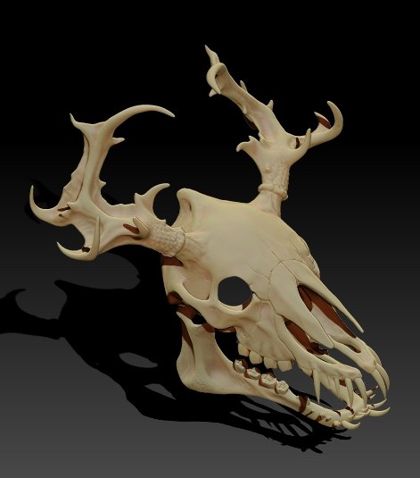 komodiensi's tweet photo. Wendigo mask model
#3dmodel #furry (maybe?) #monstercostume https://t.co/8TATDjf0jg