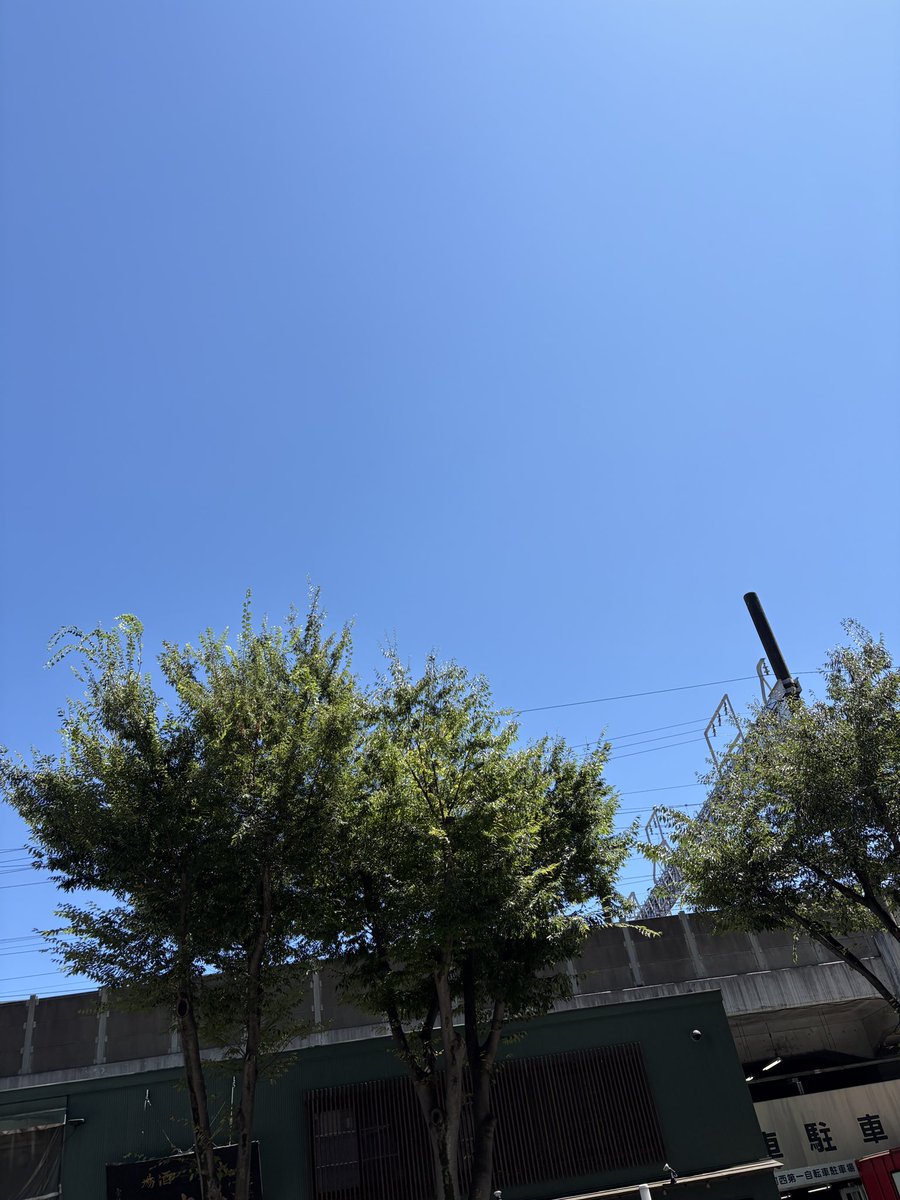 junno0513's tweet photo. 本日静岡市内、暑すぎ😓💦 https://t.co/JDlEKQf3PH