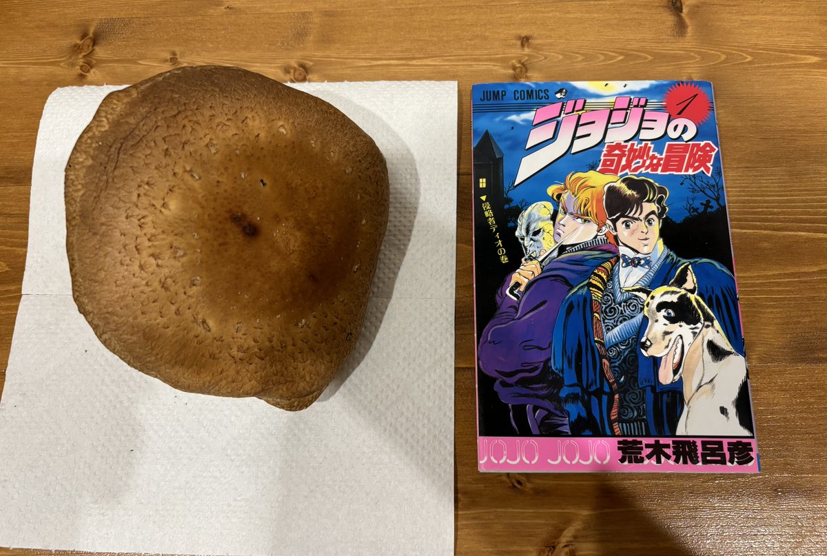 3t06's tweet photo. 写真整理してたら昔買ったデッカイしいたけが出てきた☺️ https://t.co/p9IPEcfnDW
