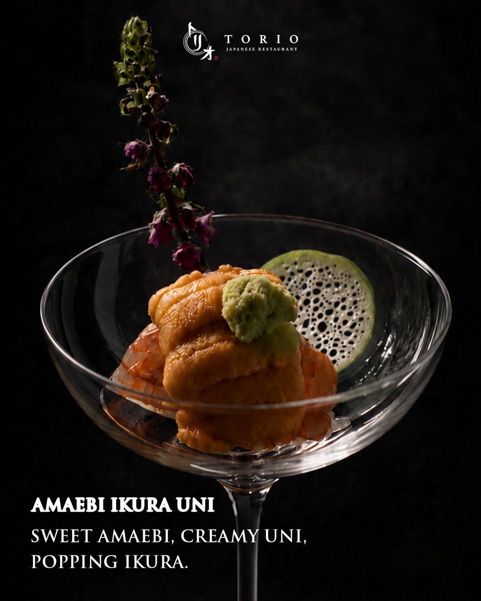 TorioSG's tweet photo. Uni, in all its richness.

Paired with sweet amaebi, popping ikura, refined caviar, and crisp takuan, each bite reveals a different side of uni — creamy, briny, delicate, and deeply indulgent.

Discover uni at Torio.

#toriosg #sgeats #japanesedining #omakasesg #sgfoodie https://t.co/O4Swue0oM0