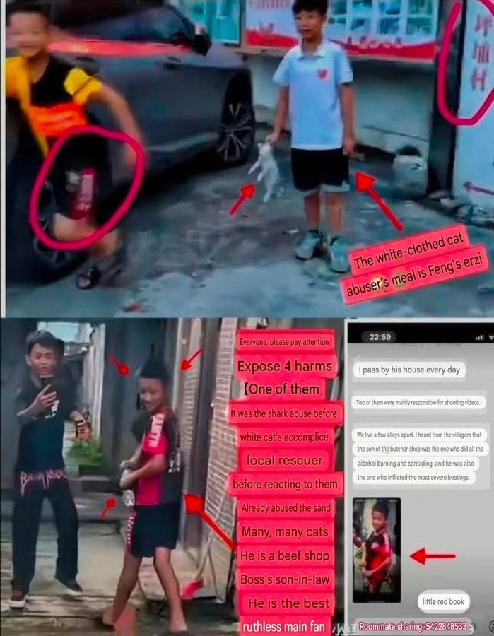 MaleficentLady's tweet photo. "According to witnesses in China, those five Jieyang boys who tortured and murdered Wang Wang and her puppies, to this day, continue to torture and kill other kittens and puppies in the village. 

They feel no guilt whatsoever, happily drinking Coca-Cola every day while continuing to torture and kill kittens and puppies.

Wang Wang is not the first dog they've tortured and killed, nor will it be the last.

Because China has no "animal protection law," their families won't stop their behavior either, so they're able to act with such complete impunity!"

See English translated version of the original image that bad Chinese text verifying that the same boys who tortured Wang Wang also tortured another cat in their village of Pingpu/ Pingbu.

An eyewitness villager in the image also reports that the five boys continue to torture and kill animals with impunity until today. I also translated that to English.

Their monstrous parents did nothing to tell them to stop torturting and killing stray animals. They only told the five Jieyang boys of Pingpu village never to record their sadism again as evidence. 

Their parents are also terrible and evil. These boys learned from example.

#justiceforwangwang   #wangwang  #wantwant #旺旺  #Jieyang  #BoycottJieyang  #Guangdong #boycottguangdong   #pingpuvillage #pingbuvillage
#boycottchina  #china