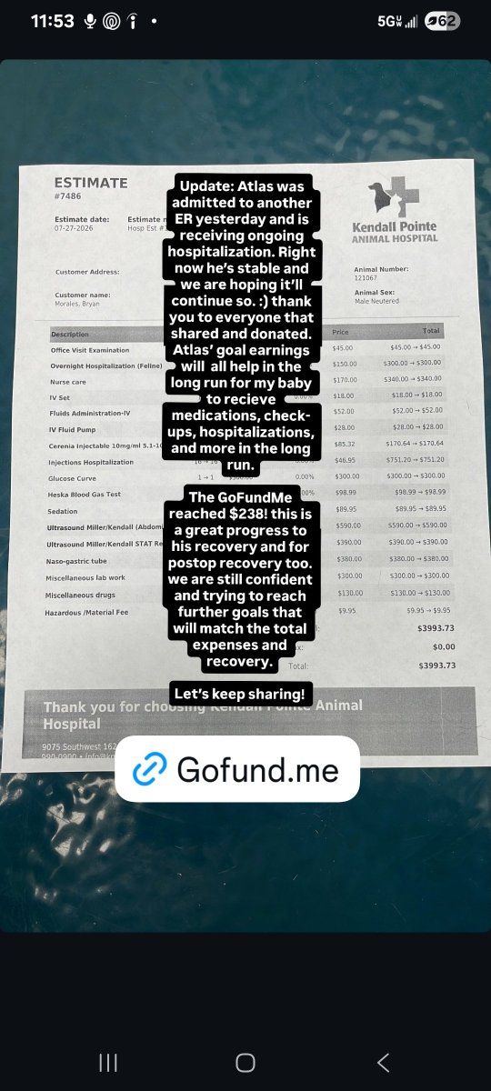soloplayer_119's tweet photo. Atlas has been stabilized!
All Funds garnered will be used to help with future expenses to the kitty cat
He needs great and extensive care

https://t.co/mSap6aj7Ad https://t.co/XBlULKJb04