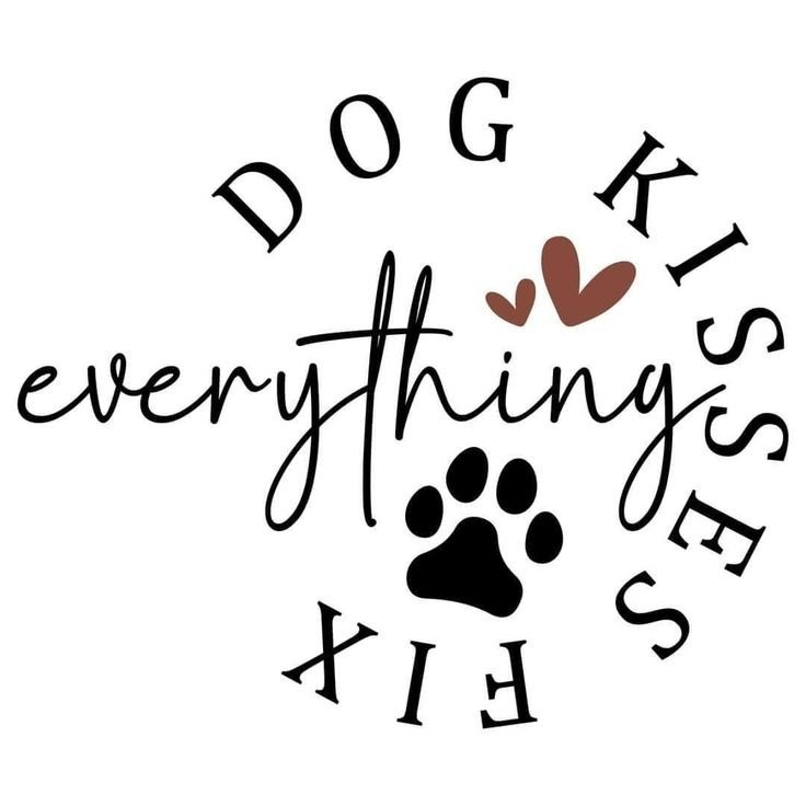 vicky9999650's tweet photo. Every day with my furry best friend is a new reason to smile 🐶❤️ Come join our adventures and hit subscribe!

https://t.co/6osf4RQtHt https://t.co/qcubWSGW8g