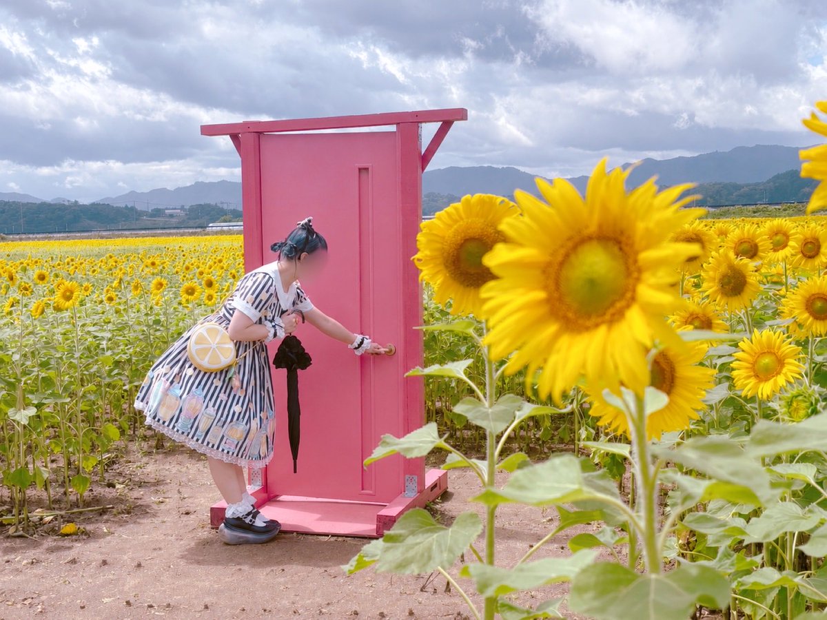 Pretty_2tama5's tweet photo. ひまわり畑🌻
#angelicpretty #ロリィタ https://t.co/n8K7Jsz8Qf
