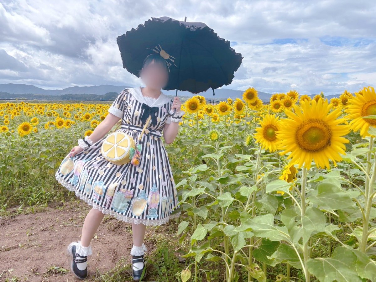Pretty_2tama5's tweet photo. ひまわり畑🌻
#angelicpretty #ロリィタ https://t.co/n8K7Jsz8Qf