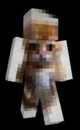 UncoolFool2's tweet photo. I just wanna point out that this is also my brother's minecraft skin https://t.co/oRmF5IHJ7h