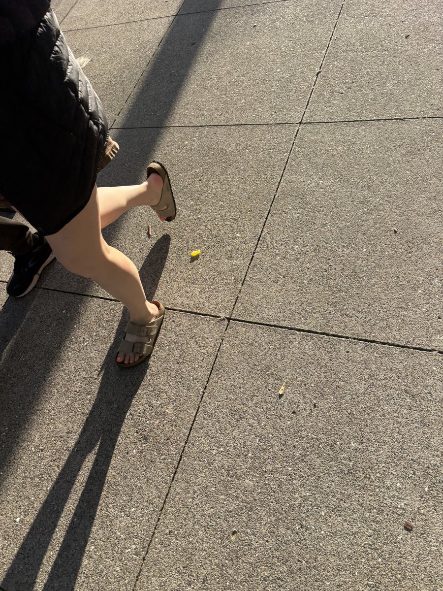 luvcreepin's tweet photo. Passed by these beauties https://t.co/p5Jm5QJbrs