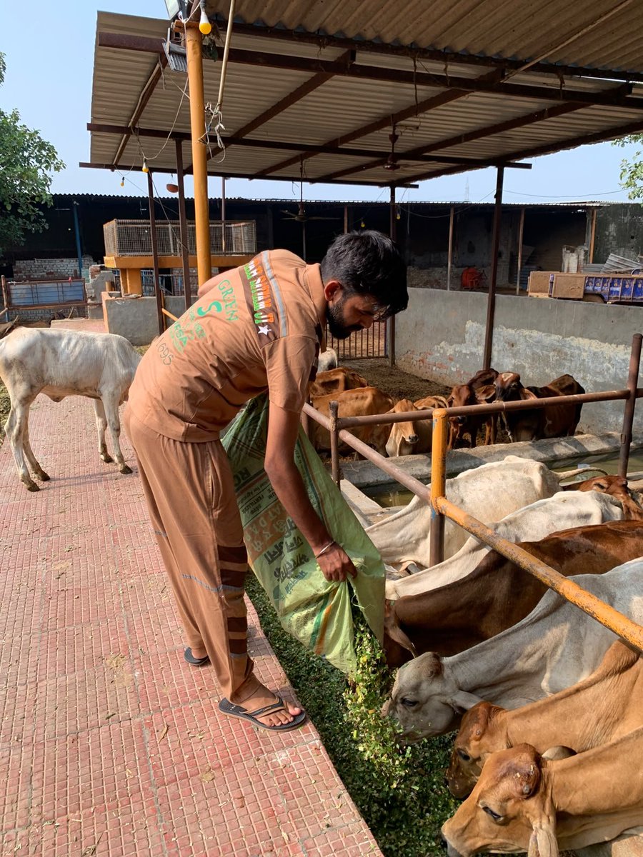 Rankitinsan1506's tweet photo. गुरु बिना गत नहीं, गुरु अज्ञान रूपी अंधेरे को दूर कर हमारे मन में ज्ञान रूपी दीपक जलाता है। हम इस #GuruPurnima के अवसर पर गुरु Saint Gurmeet Ram Rahim Ji का कोटि कोटि आभार प्रकट करते हैं। जिन्होंने हमें सत्य का मार्ग दिखाया। 
#GuruPurnima2026
#गुरु_पूर्णिमा https://t.co/xLmEcHxlB8