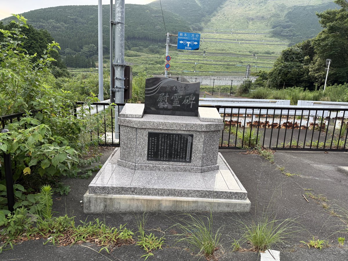 猫温泉 tweet media