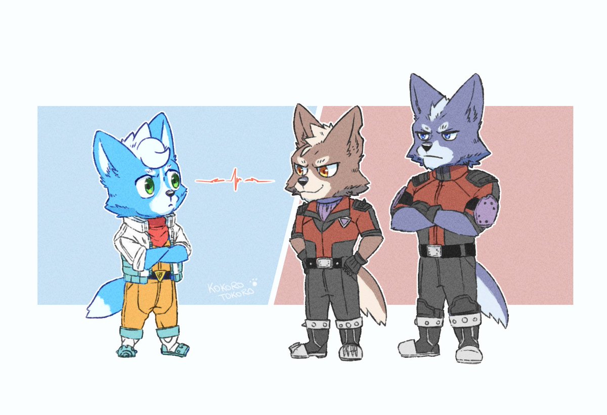 🐾KokoToko || ココトコ🐾 tweet media