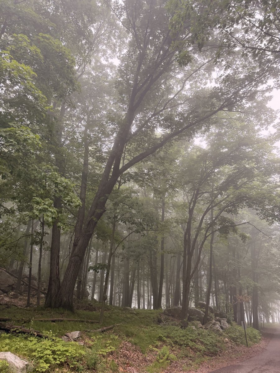 BarbaraMcC1905's tweet photo. Early morning drive.  Felt like a Me and God moment. https://t.co/CCzs89pcEi