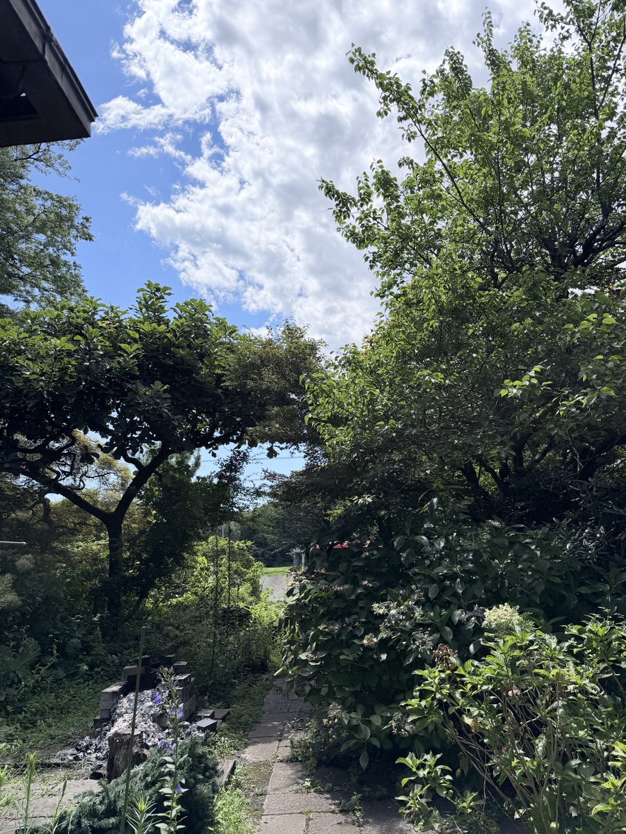 bokarukun's tweet photo. 夏だねぇ https://t.co/LWxMucCSKD