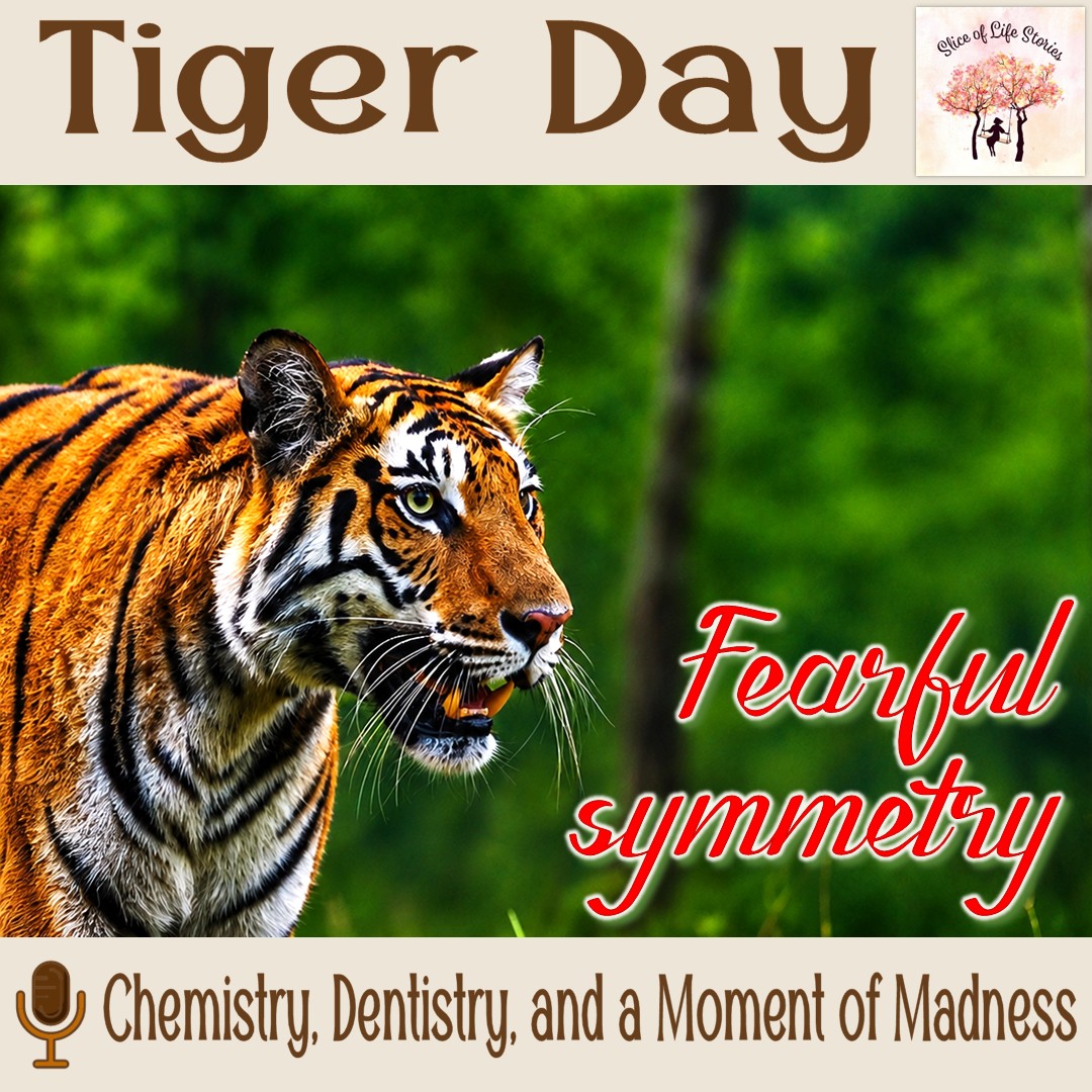 sliceoflife466's tweet photo. Tiger Day with 🎙 Chemistry, Dentistry, and a Moment of Madness 

▶  https://t.co/gx6TEzHTZb

#forest #tigress #supermom #chemistry #camera #safe #danger #vulnerable #tourist #jungle #tigerday #savetigers #tigers #savethetiger #wildlifeconservation #nationalanimal #bigcats https://t.co/WijkxUuGeS