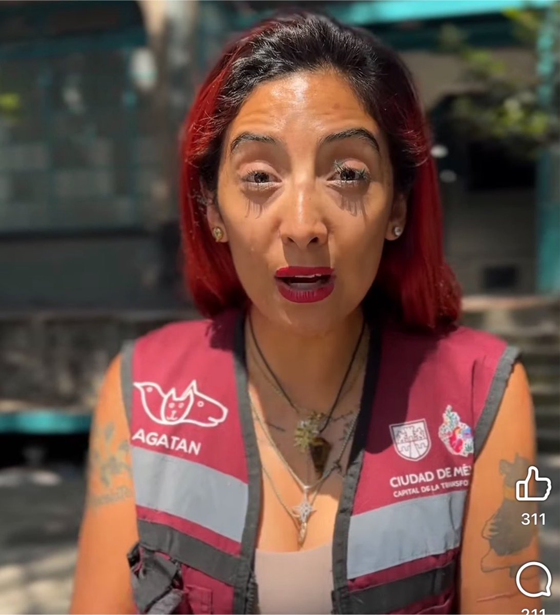 Lucía Hernández | Amo La Ciencia tweet media
