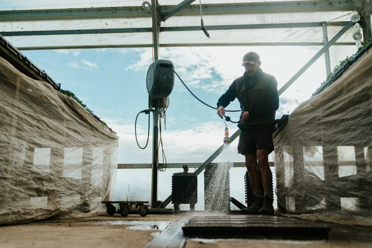 MangaroaFarms's tweet photo. Our beloved radish microgreens are now certified organic through Organic Farm NZ, grown to BioGro standards. A big milestone for the farm—and a big thank you to Cam and Tyler for seeding and nurturing the certification process.

Read the full story: https://t.co/1gborDW82v https://t.co/D1iVfdzqXr