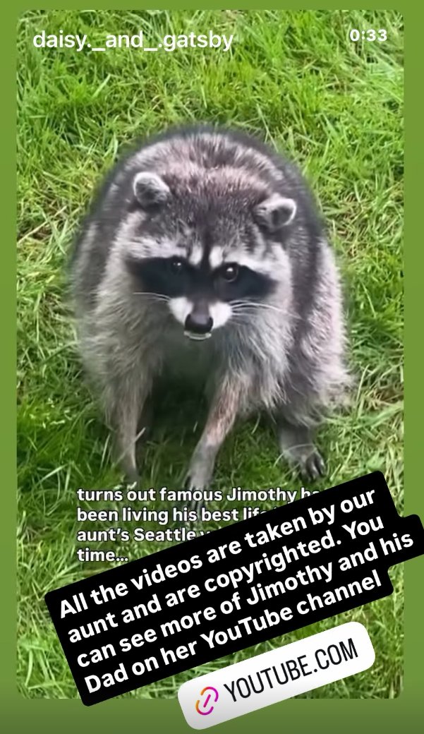 DannyCoinRH tweet picture