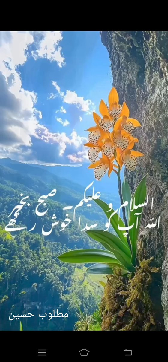Fighter_0_4's tweet photo. 🥀❤️🥀اسلام علیکم ورحمتہ اللہ وبرکاتہ
صبح بخیر 🥀❤️🥀 https://t.co/O02GZfi7YS