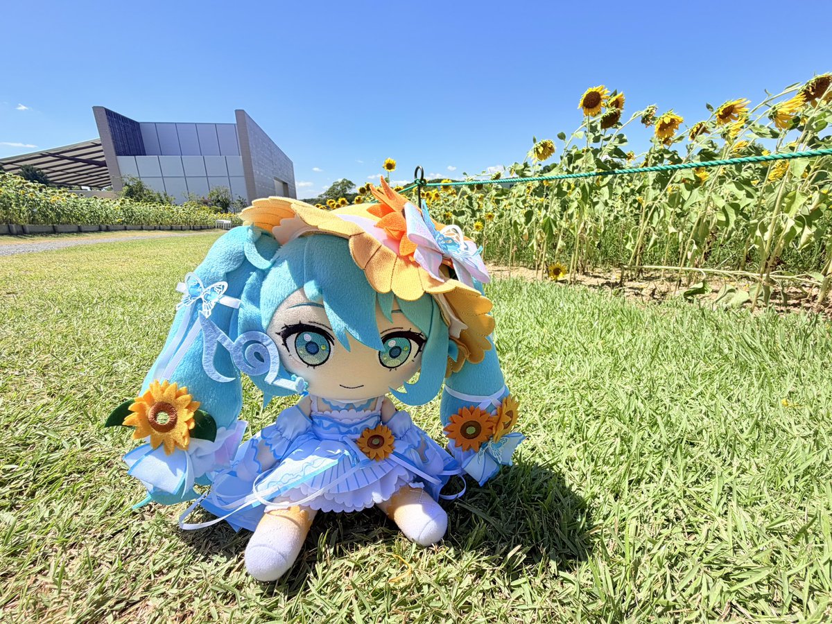 boriOSHIBORI's tweet photo. ソナーレちゃんとひまわり畑
浜名湖ガーデンパーク
#マジカルミライ2026 
#マジカルミライ浜松 https://t.co/oSjuIRwIWd