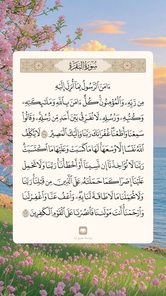 ali__zd6's tweet photo. عن النبيِّ ﷺ قَالَ ( منْ قَرَأَ بالآيتَيْنِ مِنْ آخِرِ سُورةِ البقَرةِ فِي لَيْلَة�� كَفَتَاهُ) متفقٌ عليه. https://t.co/8iLCcEW0Wr