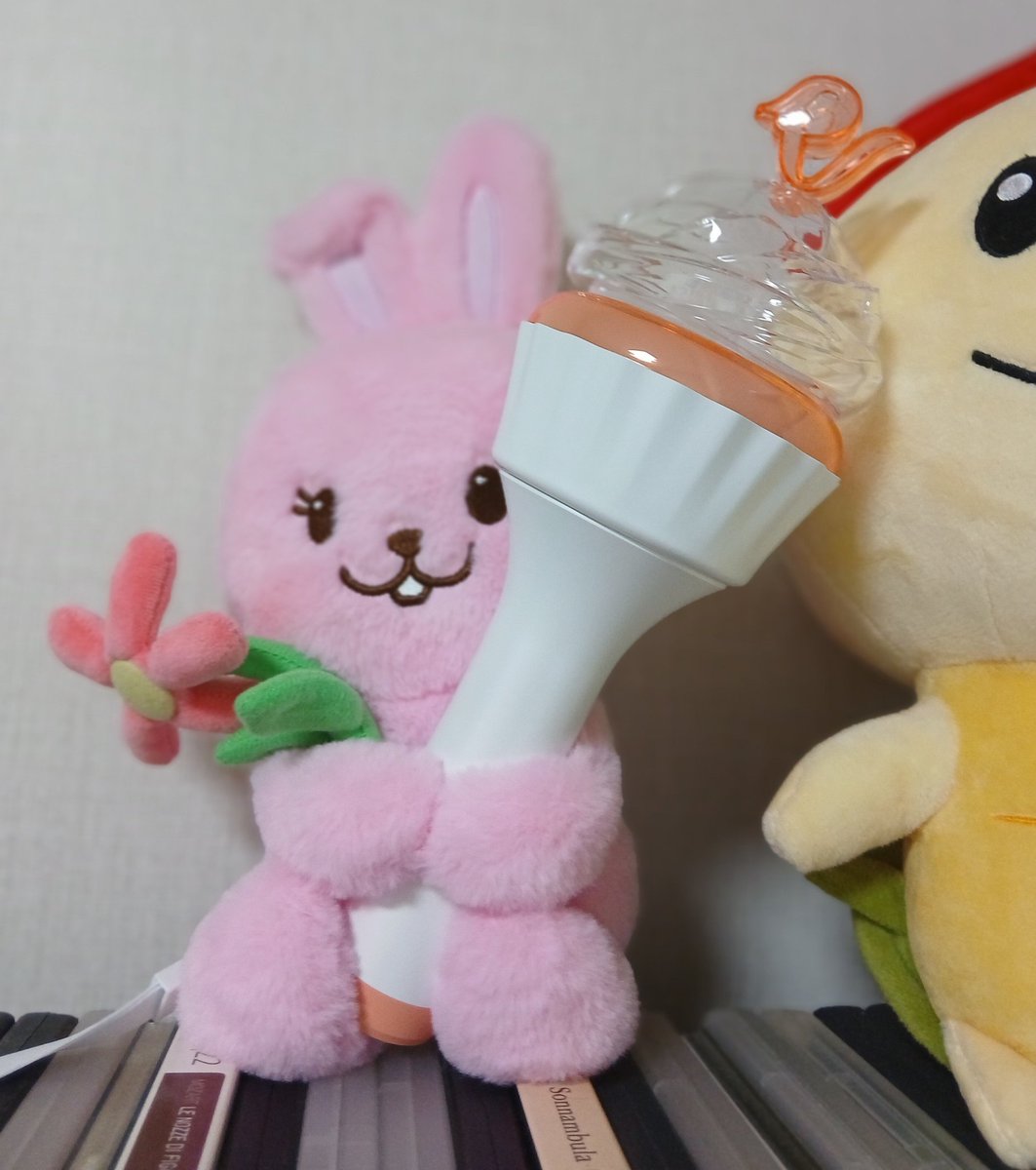 kiriya_R0329's tweet photo. 받자마자 역시 저것도 시도해봤고 똑같은 결과라.. 분홍홍에게 안겨줌. 대문자 아이가 좀 더 컸으면 좋았겠어. 현실 반영인가 너무 쪼끄매. https://t.co/ojOJKzvkvG
