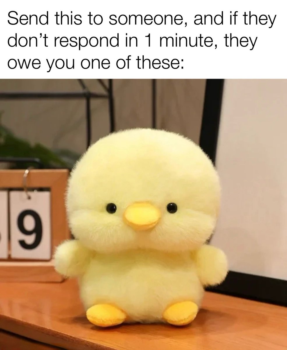 duckingcutgbur's tweet photo. Are you ok ? 🫠😍 https://t.co/mqc3icAOKl
