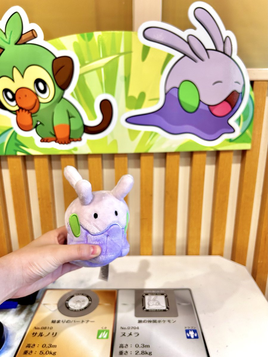 pkmn8383's tweet photo. #ポケモンサービスエリアのたび

ヌメラに会いにきました∫ ࠥօ⍨օ)ࠥ https://t.co/dBh3S9dq20