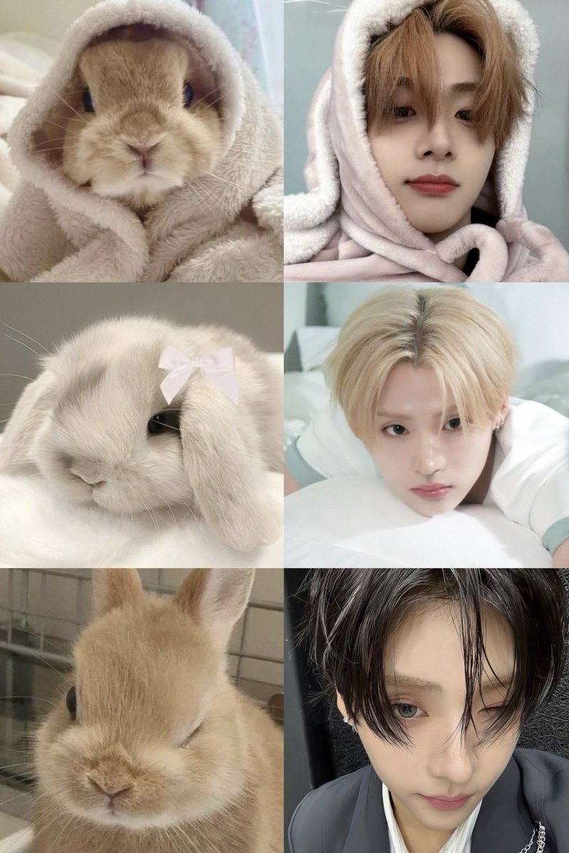prdsdefssss's tweet photo. my bunny drought is not funny anymore 💔 i miss him https://t.co/tuBVnQCY1k