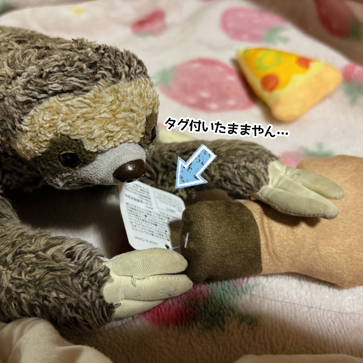 namasanyade's tweet photo. かかりつけの病院が
往診日らしく
受診出来ないので
涼しい部屋で水分取りつつ
🦥と戯れタイム♡

たまには家事お休みも良いよね〜🤭✨

#ぬい撮り https://t.co/br1yI7sVTh
