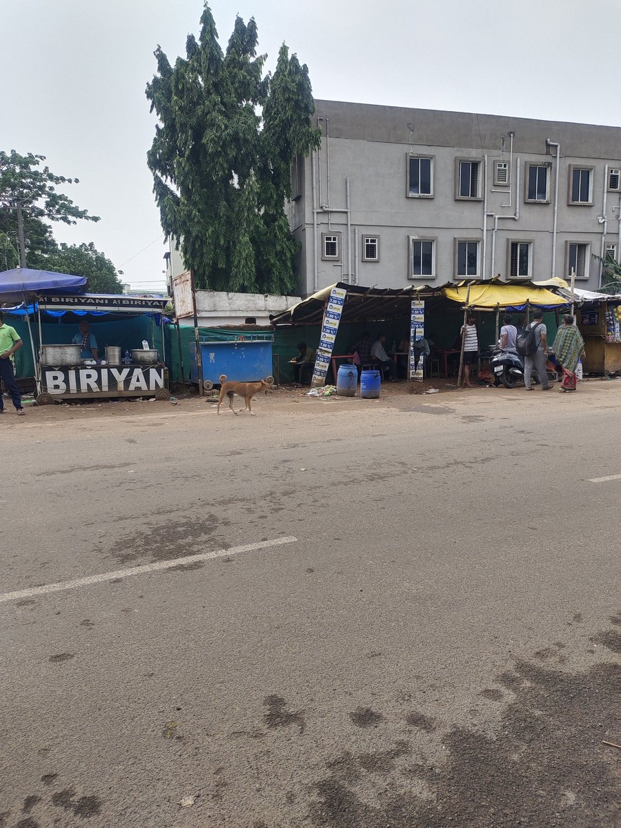 latanvine's tweet photo. SCB Medical bus stop. @CRUT_BBSR tons of patients wait for buses here, no provision for sitting, shelter or route information. https://t.co/cgNCnFvv4B