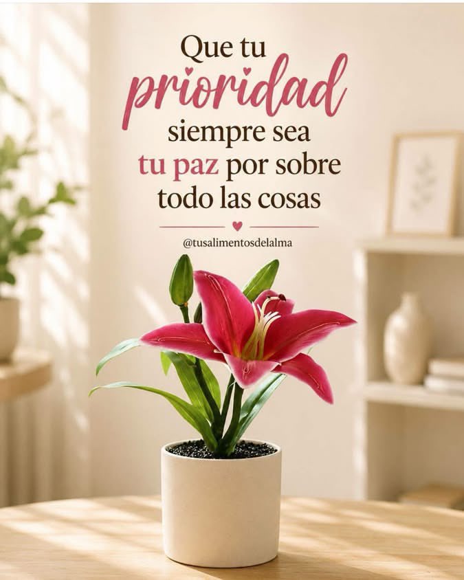 LQuino47372's tweet photo. https://t.co/EGt9dS1zJw