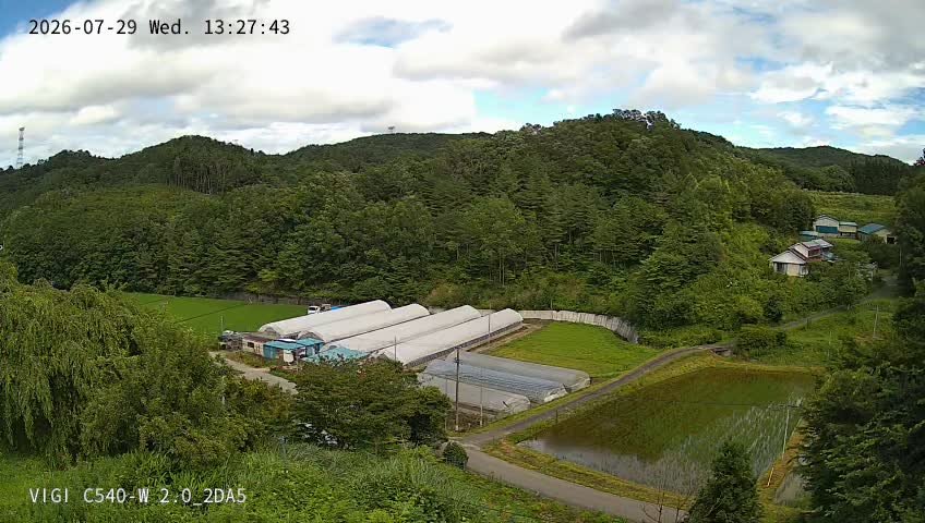 agri92ht's tweet photo. こんにちは🙇⛅
陽射して来ました😀❗
☀️様久し振りですよ
朝顔も咲き始まりました
7月もあと２日になりました
早いもんです❗ https://t.co/sekxZxrtl9