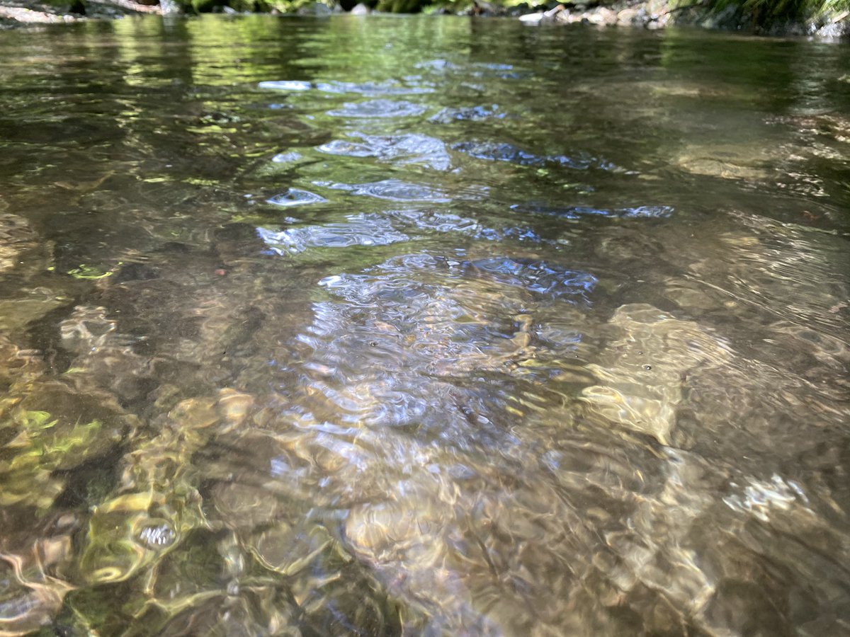 endojunko_ome's tweet photo. 日本の夏ってやっぱりいいなぁ https://t.co/UjfSuyG8g7