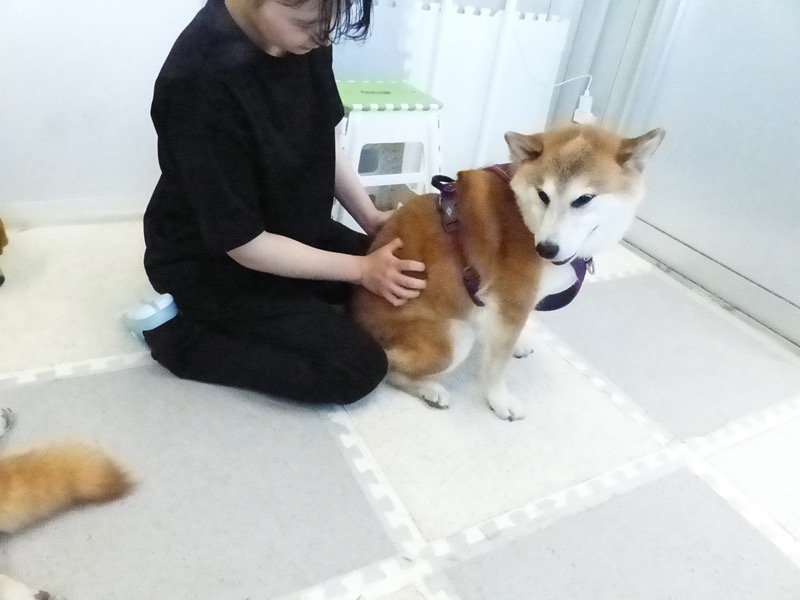 nakamura_ds's tweet photo. そこそこ。そこが痒いの

https://t.co/aCc0899Fa4 https://t.co/wTXsETlTB5