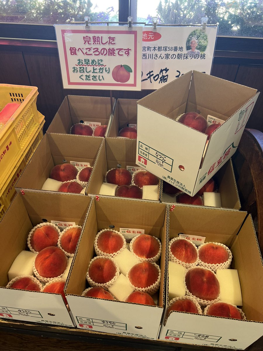 tonsoku369's tweet photo. 送りつけるね https://t.co/bZmnPohCfE