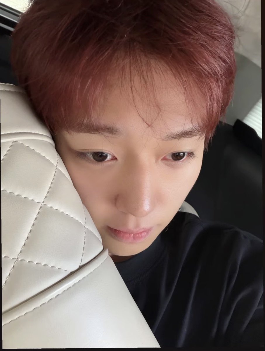 wlgbsk's tweet photo. 진짜 개커엽고 말랑한 마이구미 같은데 우뜩하지;; https://t.co/NXgfa9EcjS