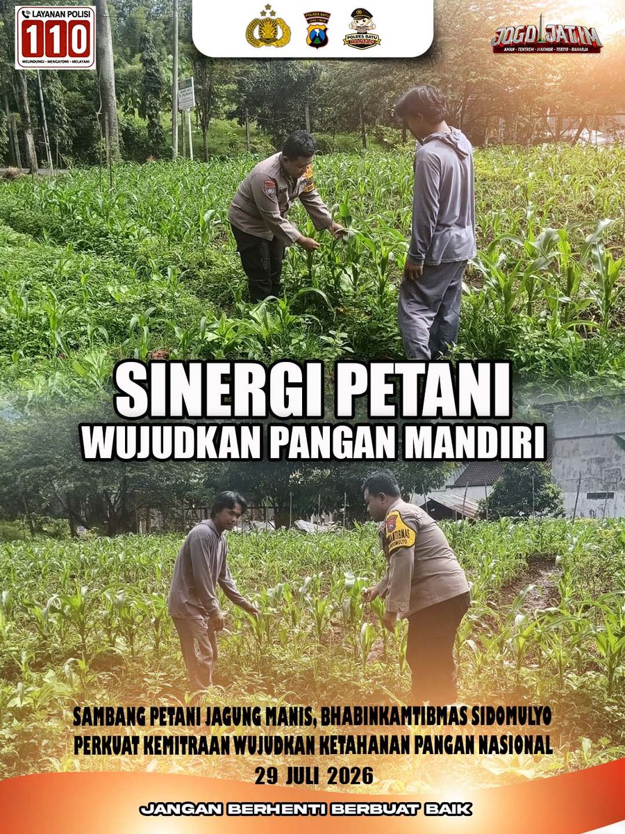 HNgantang's tweet photo. Sambang Petani Jagung Manis, Bhabinkamtibmas Sidomulyo Perkuat Kemitraan Demi Ketahanan Pangan.
#Swasembadapangan
#swassembadajagung
#polisicintapetani
#astacitapresiden
#arispurwantotd
#polresbatumantap
#janganberhentiberbuatbaik
#akbparispurwanto
#jogobatu
#jogombatu
#jogobatu https://t.co/ZHYHyHZXdw