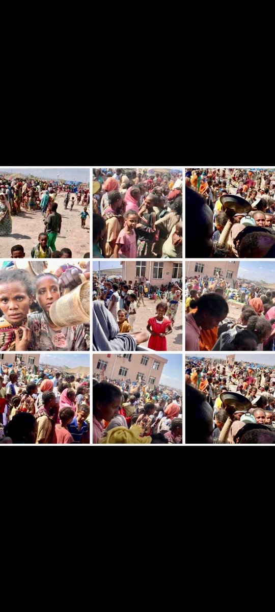 ShewitHzkias1's tweet photo. Day: 2093 #TigrayGenocide
Let's be the voice 4 z voiceless z people of Tigray #አዮና_አይንረብርብ
#TigrayISCalling
#NeverGiveUp on #Tigray
#ድምጺውፁዕህዝቢይሰማዕ
#SaveTigray
All eyes on Tigray‼️
All eyes on Tigray ‼️
All eyes on Tigray ‼️
All eyes on Tigray ‼️ https://t.co/F61vwrutFx
