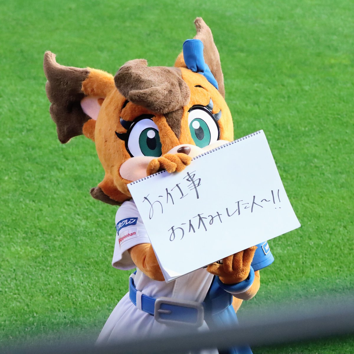 kt115's tweet photo. 2026.7.29
#ポリー https://t.co/N7PH3fQzu0