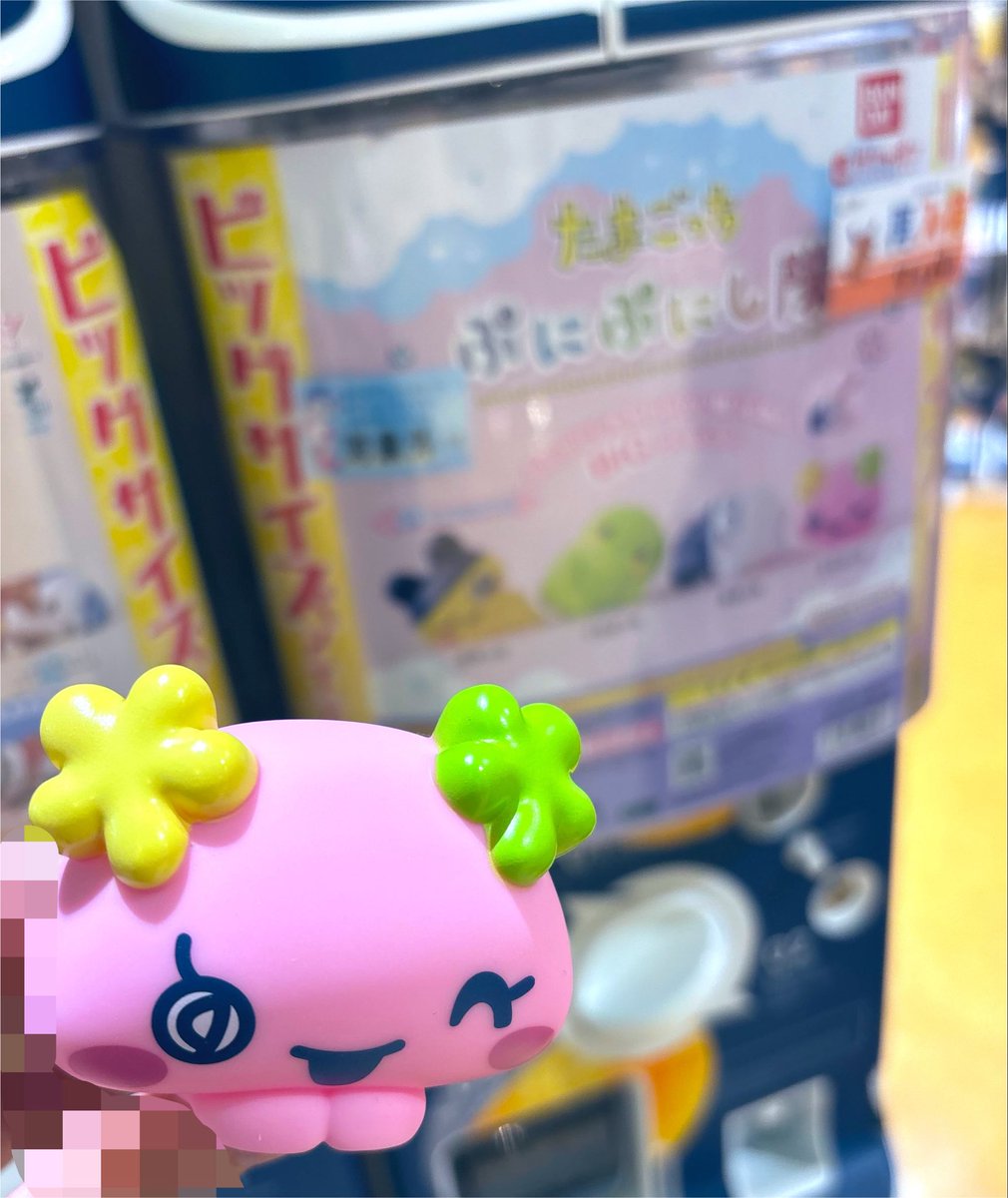 Flowertchi48's tweet photo. ぷにぷにし隊
ふらわっちがでたよ〜* .  ̫ . *
思ってたよりもでかくてぷにぷにしててかわいい(꜆꜄ ˙꒳˙)꜆꜄꜆ﾌﾟﾆﾌﾟﾆﾌﾟﾆﾌﾟﾆﾌﾟﾆﾌﾟﾆﾌﾟﾆﾌﾟﾆ https://t.co/37AB1lQ4TW