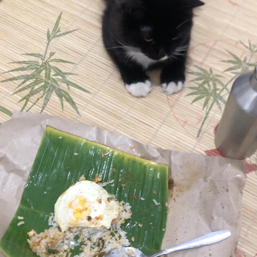 ramenpakainori tweet picture