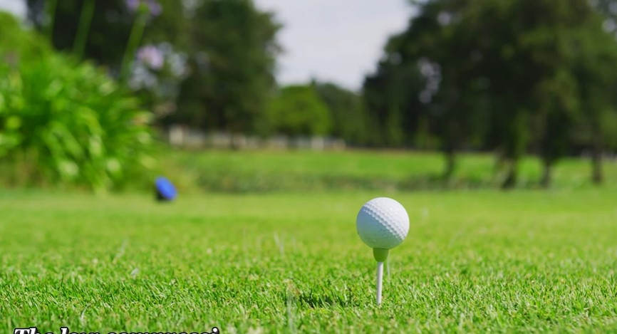 mdraselkhantaj's tweet photo. Best Women’s Golf Balls For Beginners​ | Ultimate Buying Guide 2026
#Womens_Golf_Balls #Golfballs #Golfdeft https://t.co/HUoQflgATY