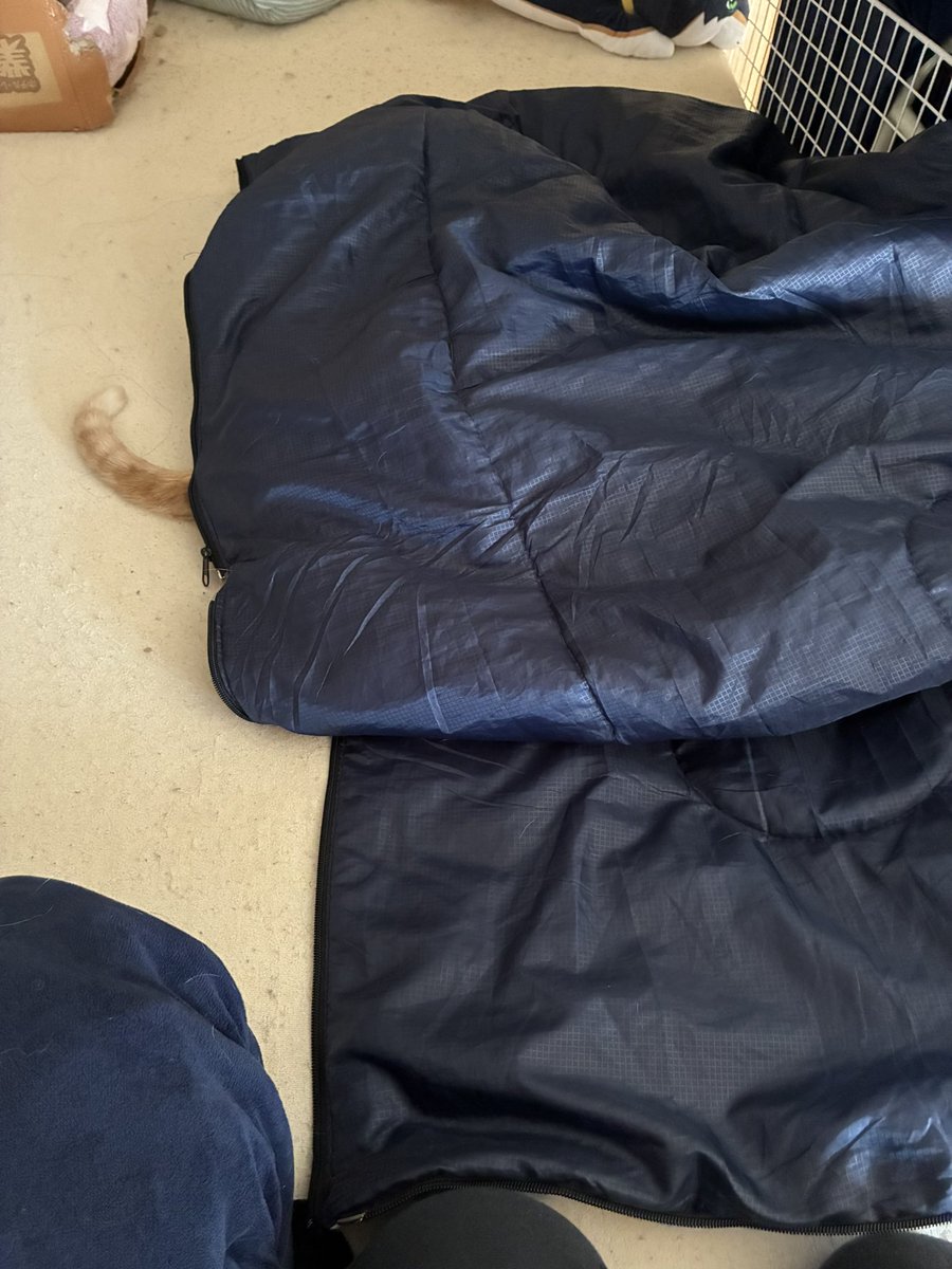 naturaldrying's tweet photo. 猫の避難所(私の寝袋) https://t.co/rqjEHlYV7X