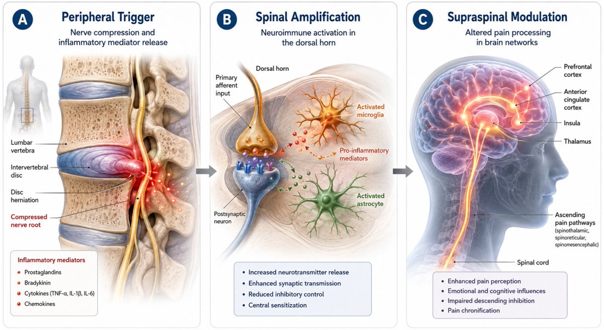 Physio Meets Science tweet media