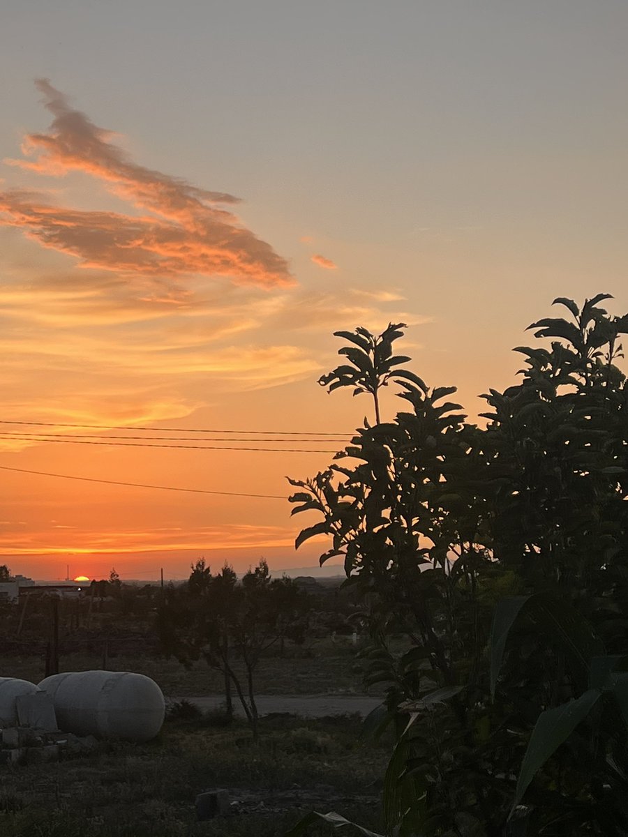 maydit's tweet photo. Días de paz y descanso en el rancho ❤️ https://t.co/ozkoGsvDZl